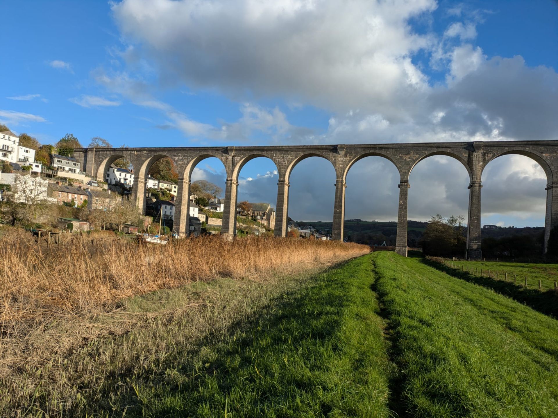 Calstock viaduct